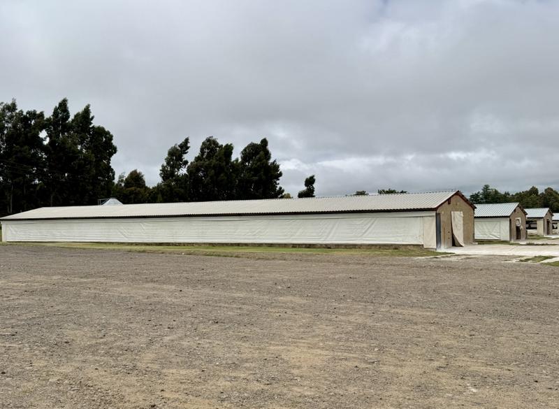 0 Bedroom Property for Sale in Harrismith Free State